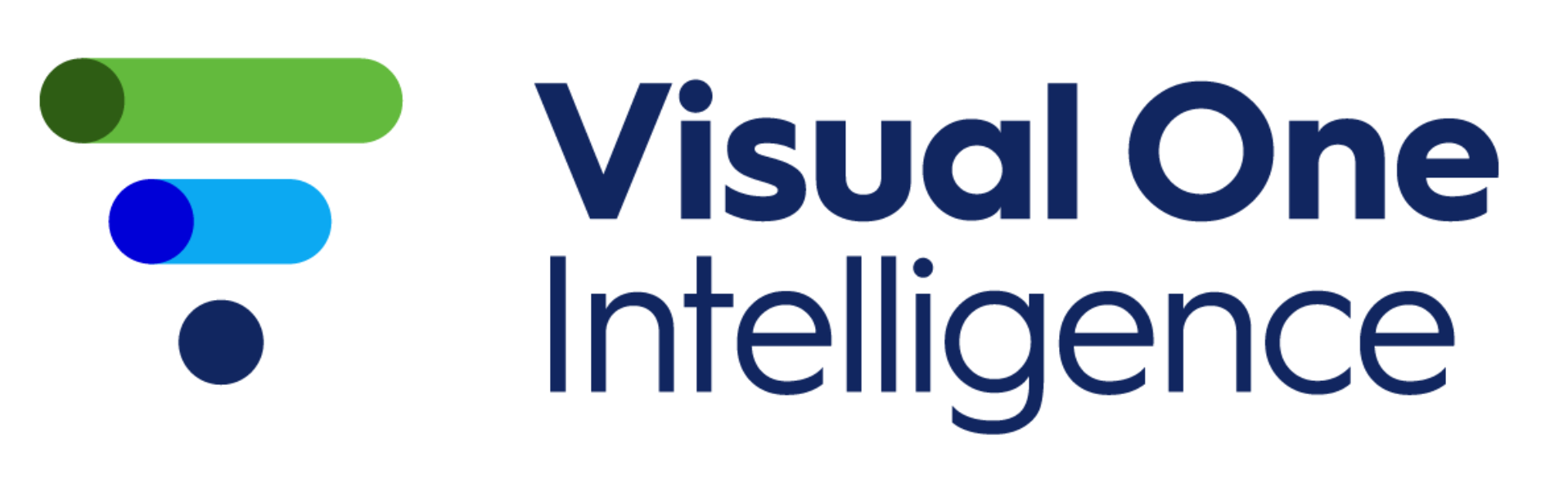 Visual One Intelligence Logo