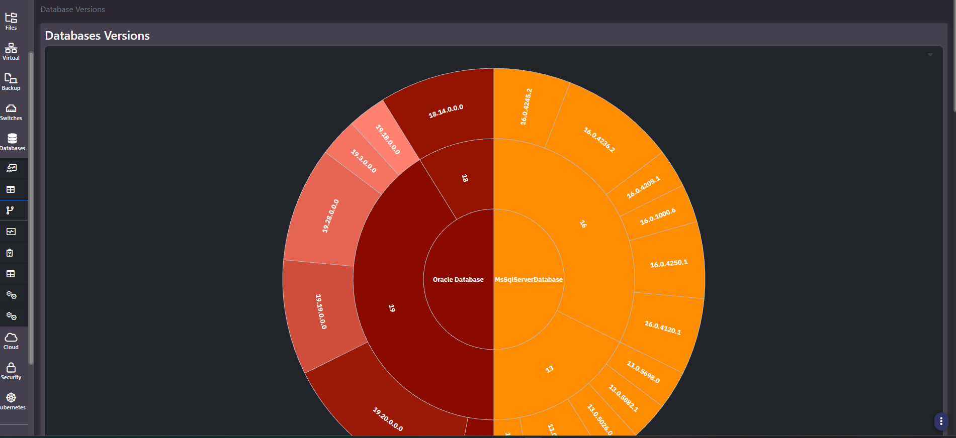 Databases Versions sunburst chart showing platform, major version and patch level distribution across database instances